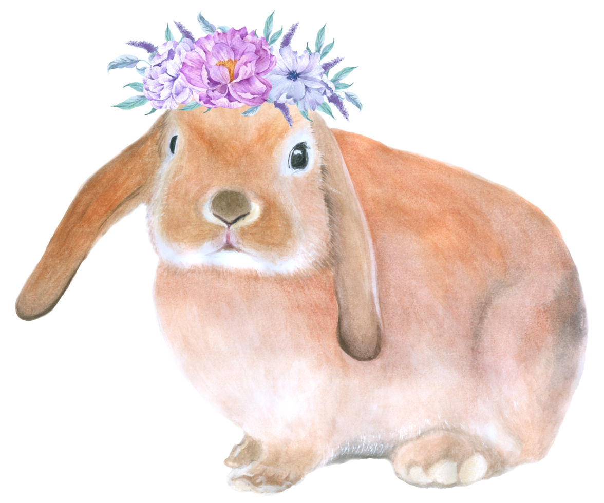coniglio animale di pasqua con acquerello di fiori png