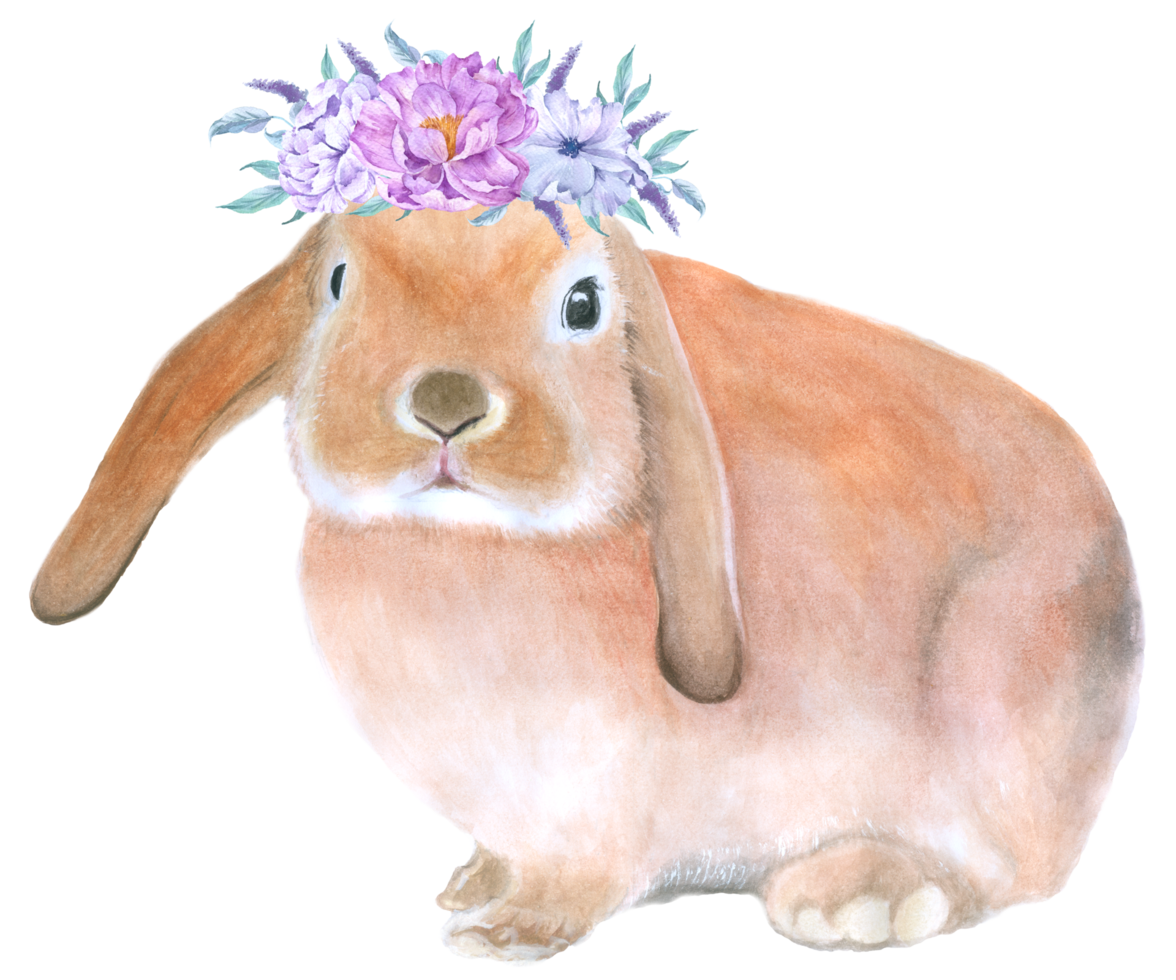 coelho animal de páscoa com aquarela de flores png