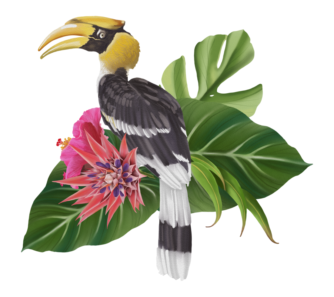 Tropical composition with bird watercolor hand paint png