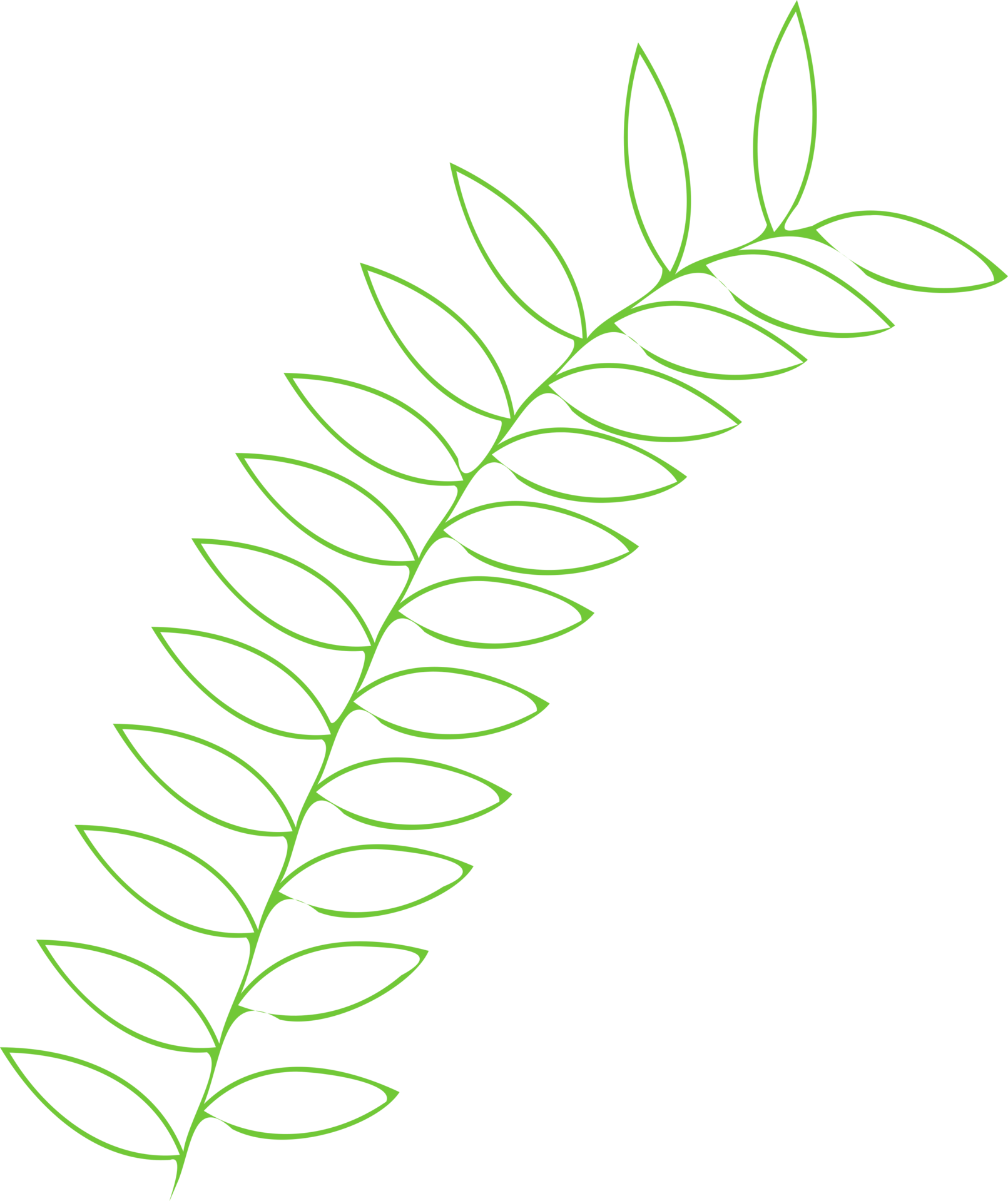 floral-outline-plant-leaves-outline-10792317-png