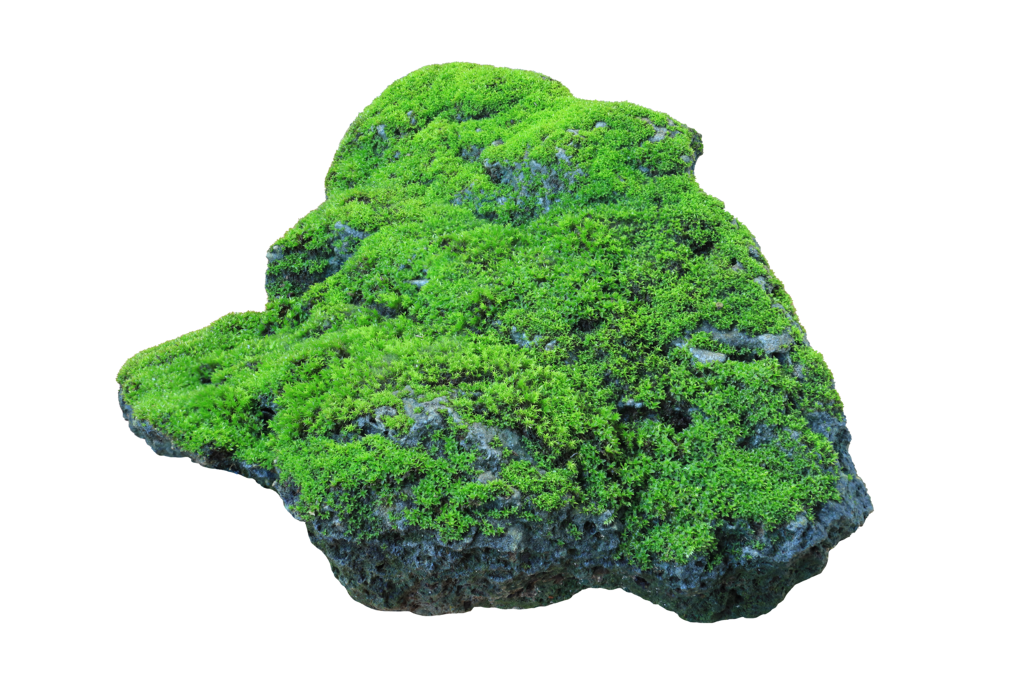 Rock covered in green moss isolated on transparent background png