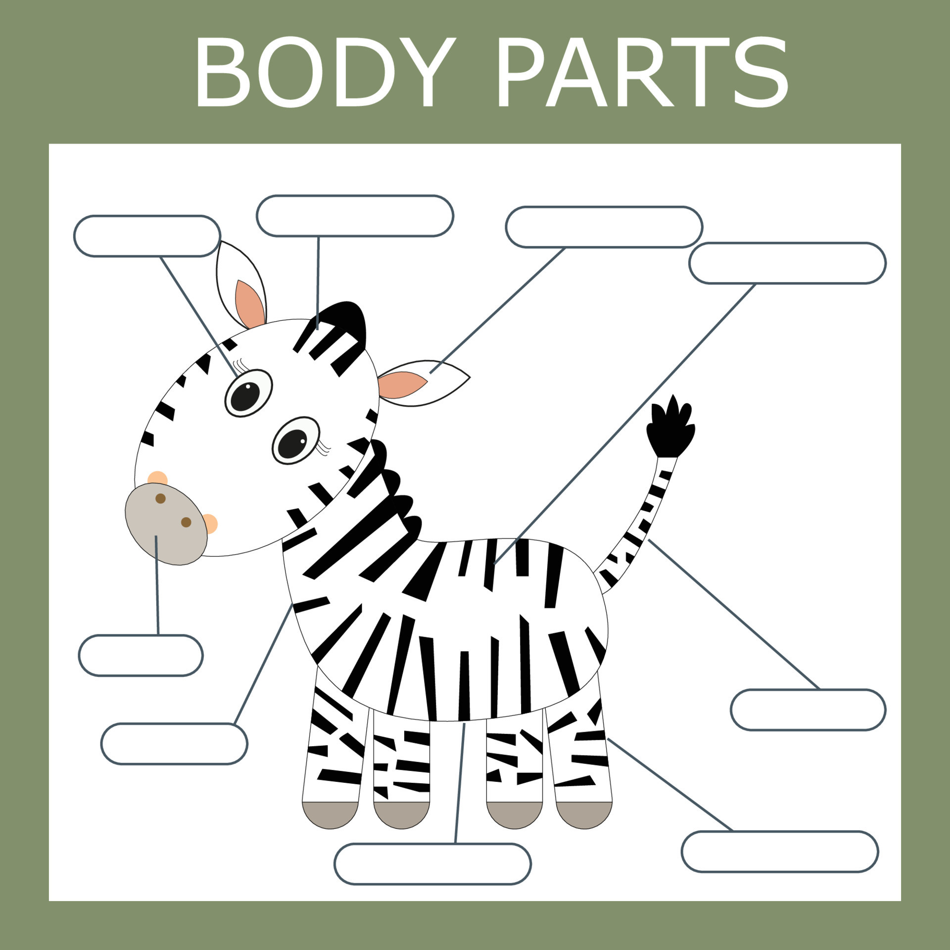 Write down the body parts of the zebra. Educational game for children. 10792711 Vector Art at
