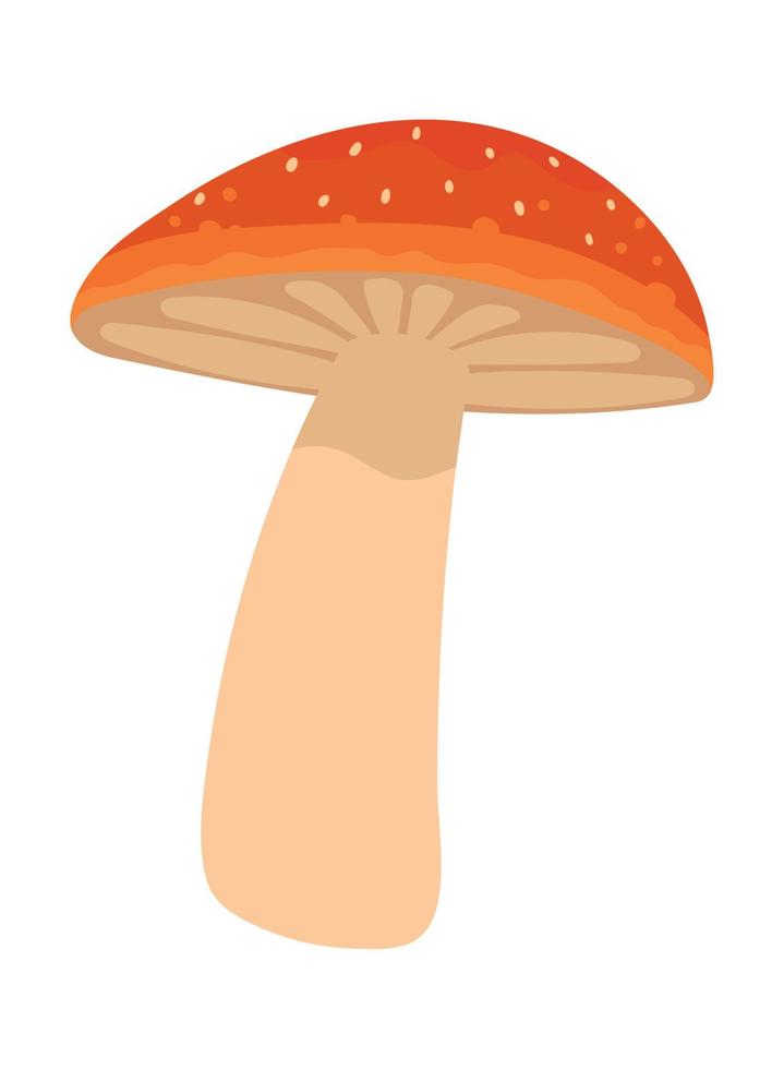 mushroom isolated icon vector