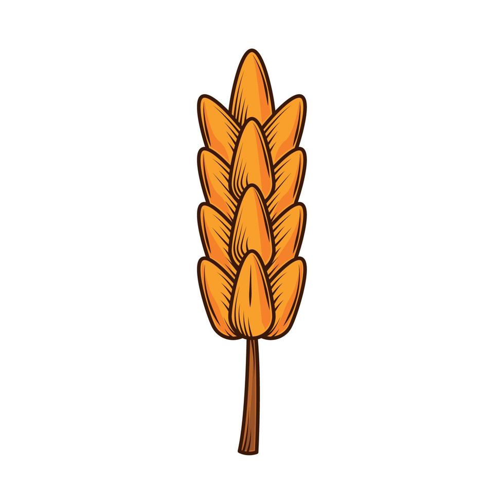 wheat spike icon vector