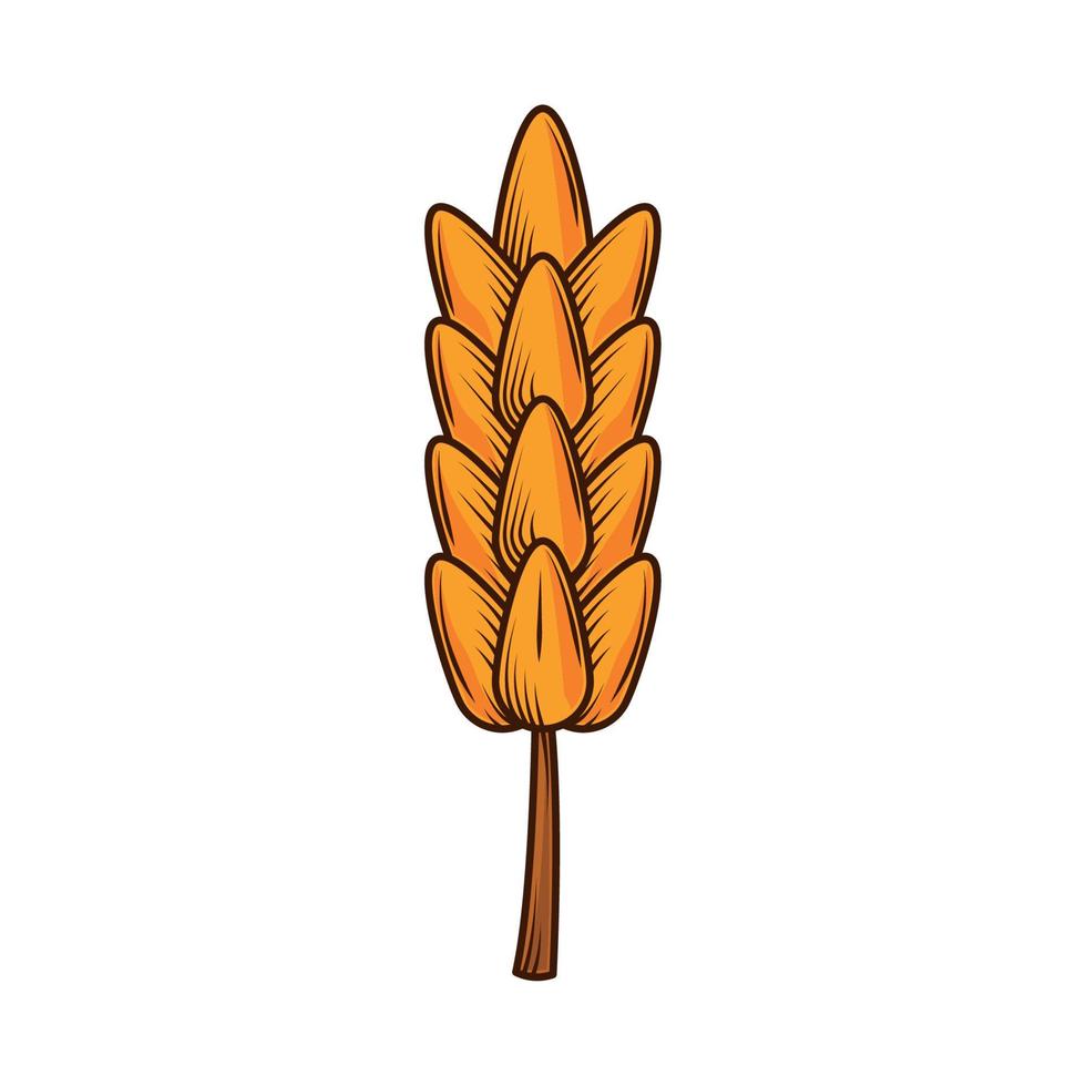 wheat spike icon vector