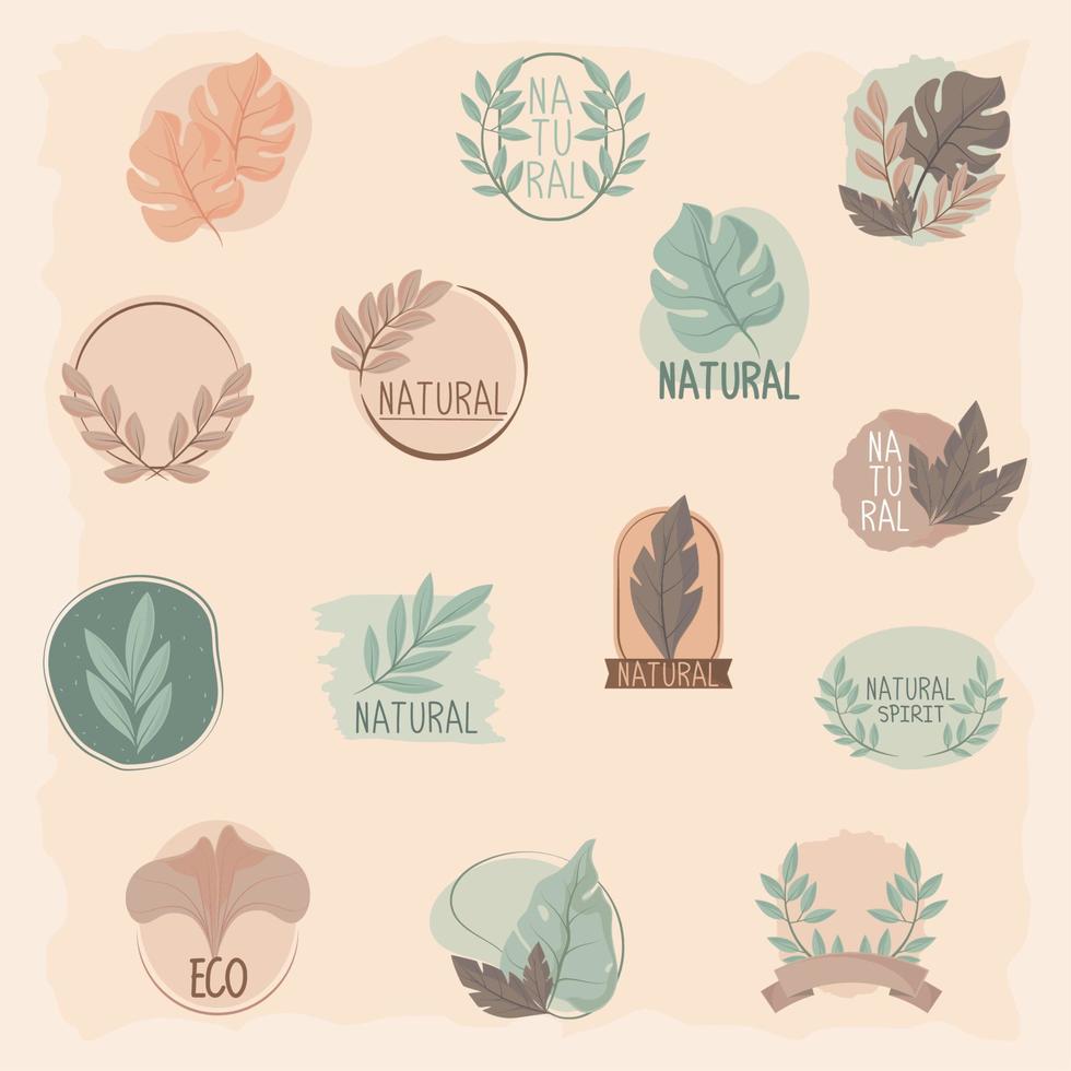 set leaves and plants nature vector