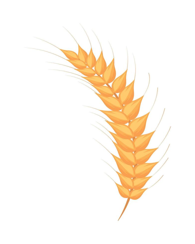 icono de espiga de trigo vector