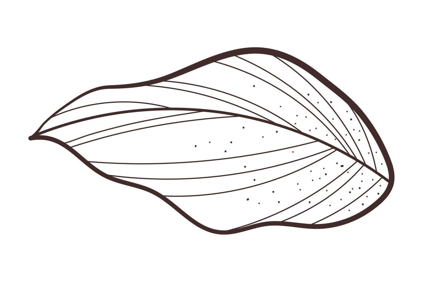 leaf vector icon