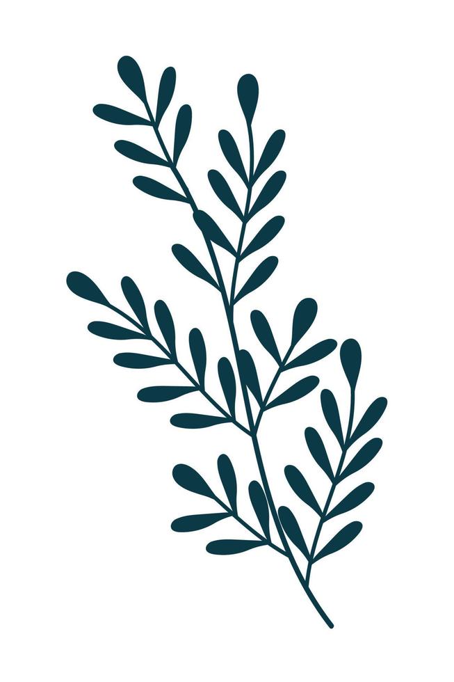 plant branch leaves vector