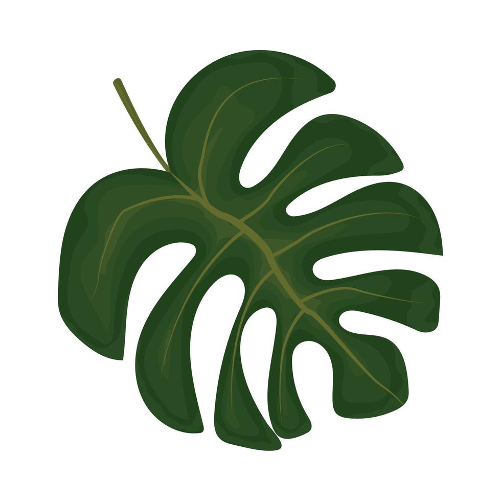 icono de hoja de monstera vector