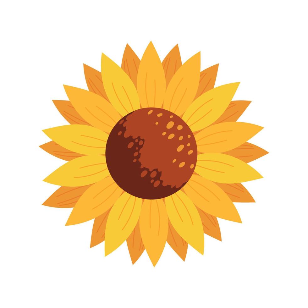 icono de girasol aislado vector