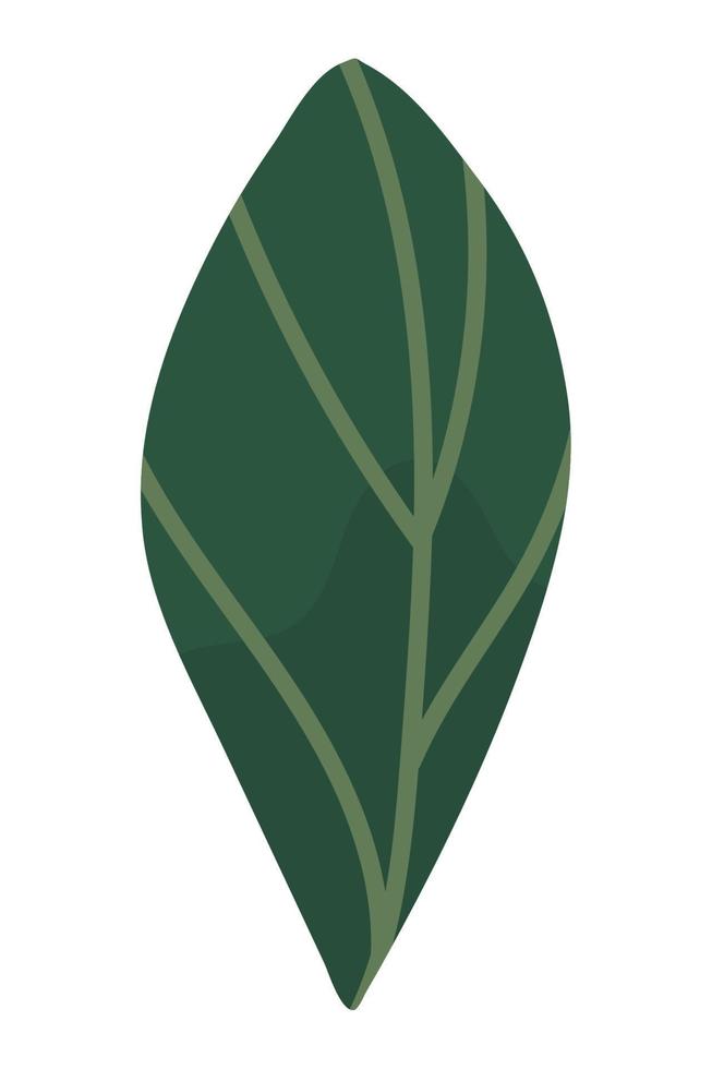 leaf nature icon vector