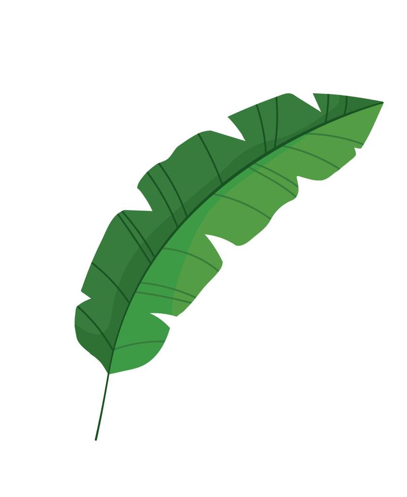 icono de hoja tropical vector