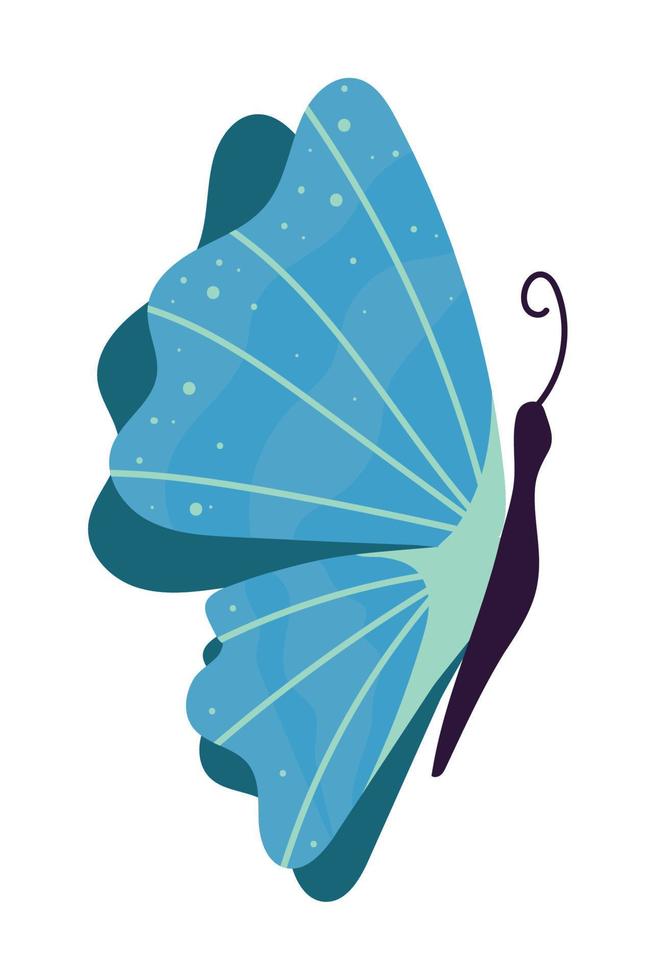 blue butterfly icon vector