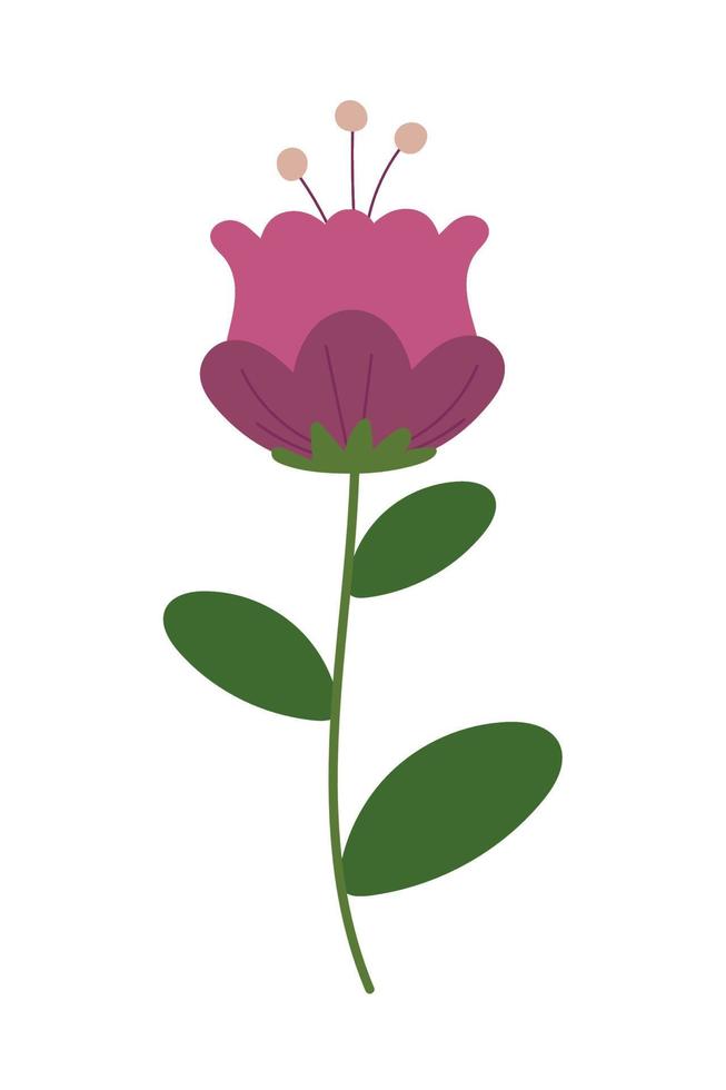 pink flower nature vector