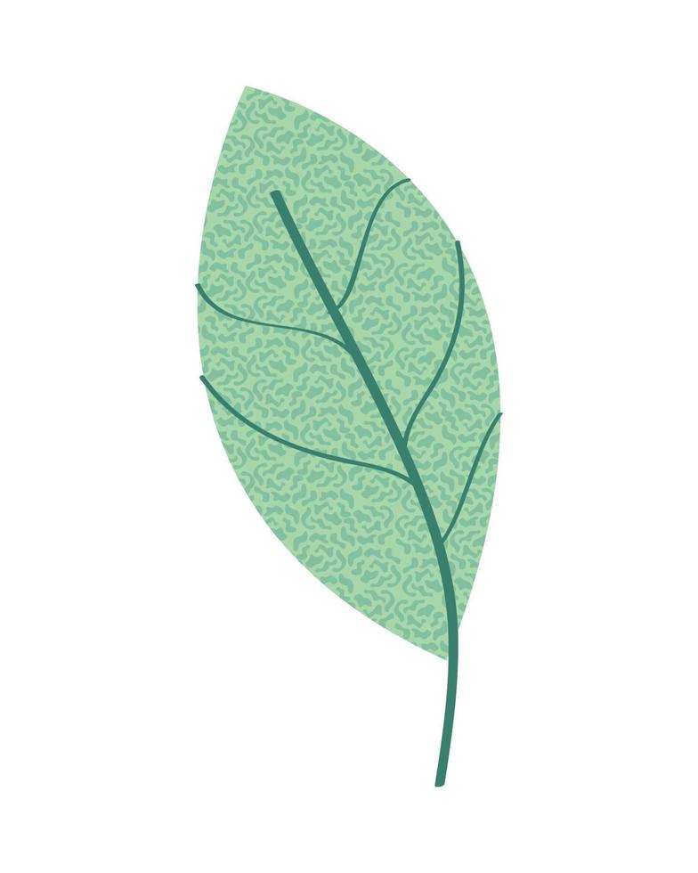 leaf texture icon vector