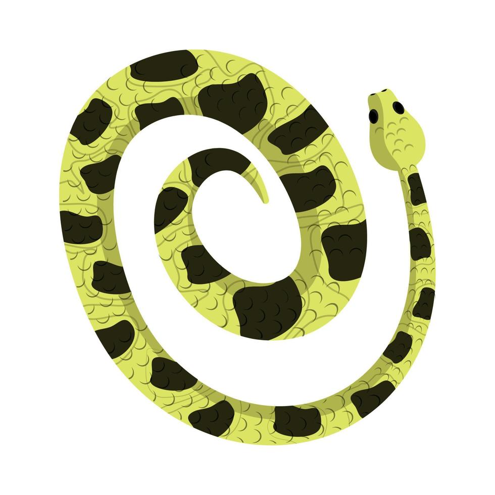 serpiente con manchas vector