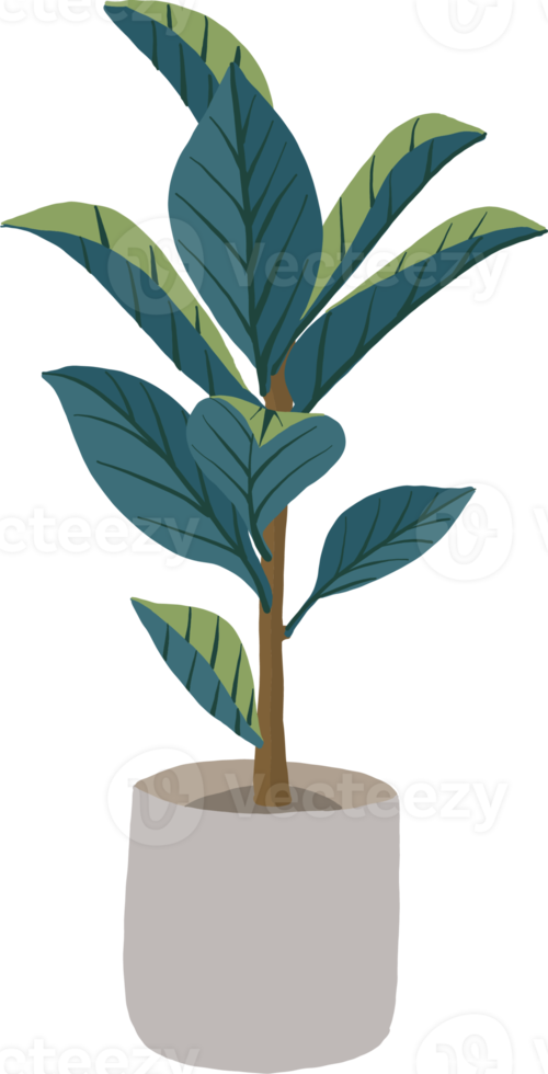 Potted plants Hand drawing style. png