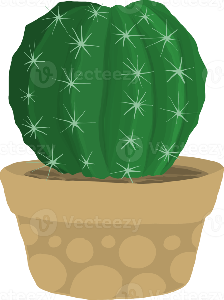 conjunto de pintura de cactus, estilo dibujado a mano. png