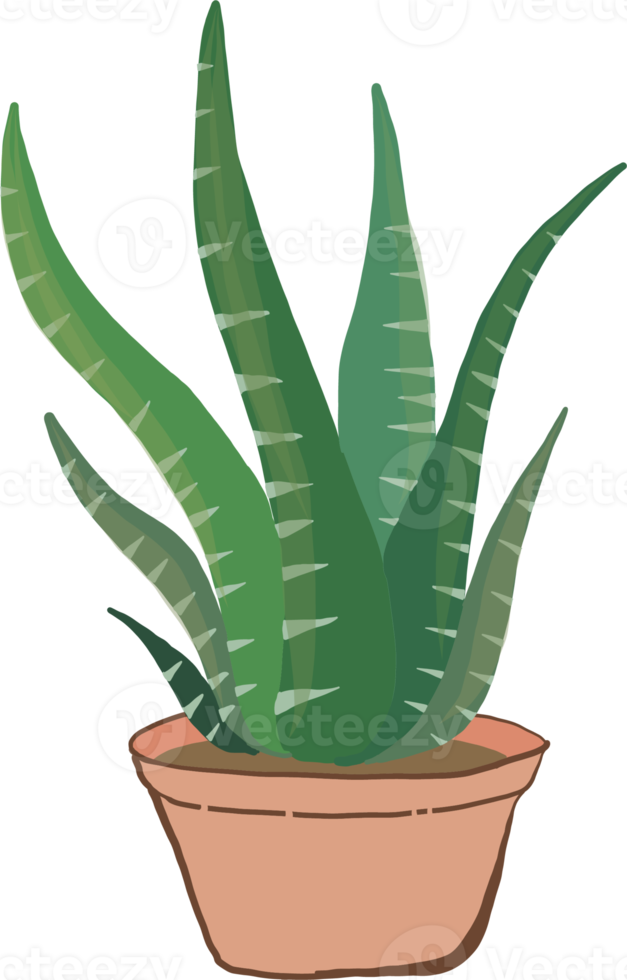 ensemble de peinture de cactus, style dessiné à la main. png