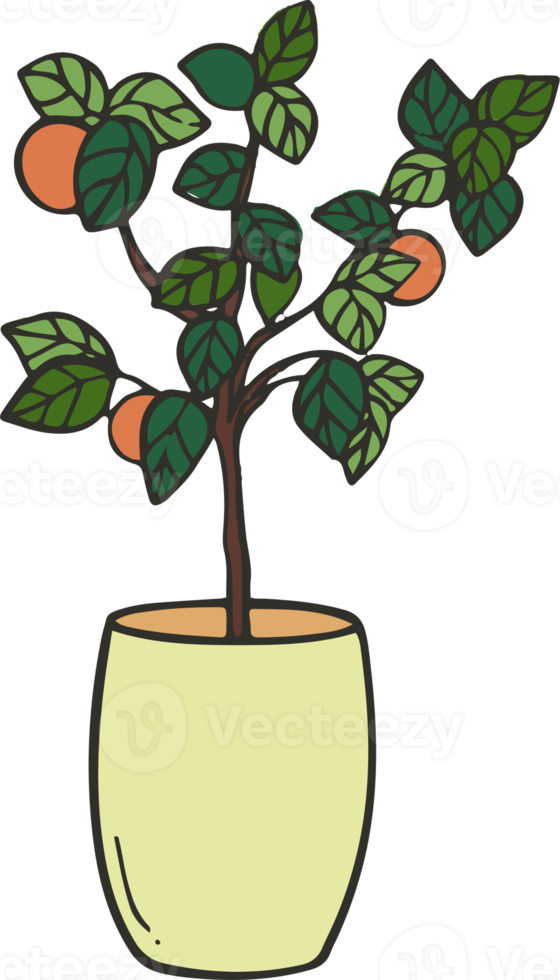 Potted plants Hand drawing style. png