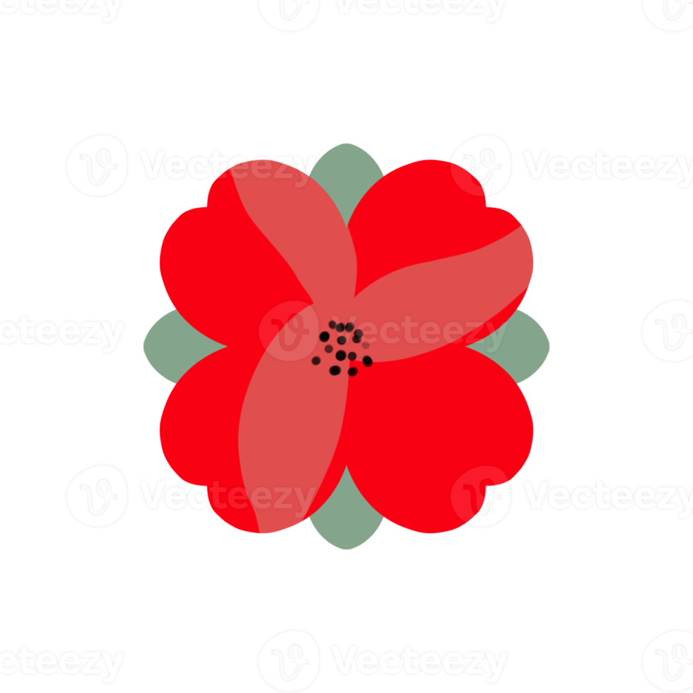 clipart fleur de pavot png