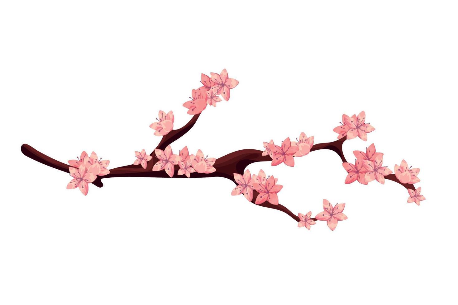 sakura branch tree vector