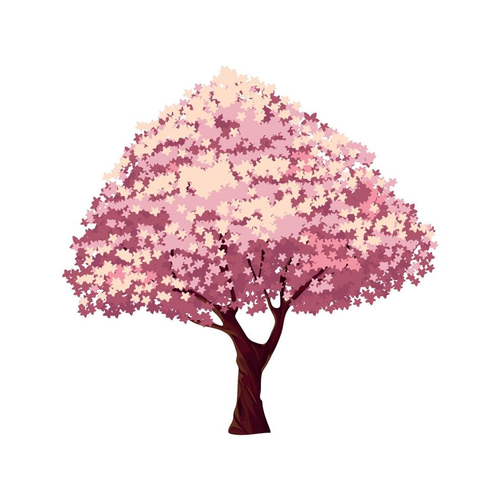 cherry sakura tree vector