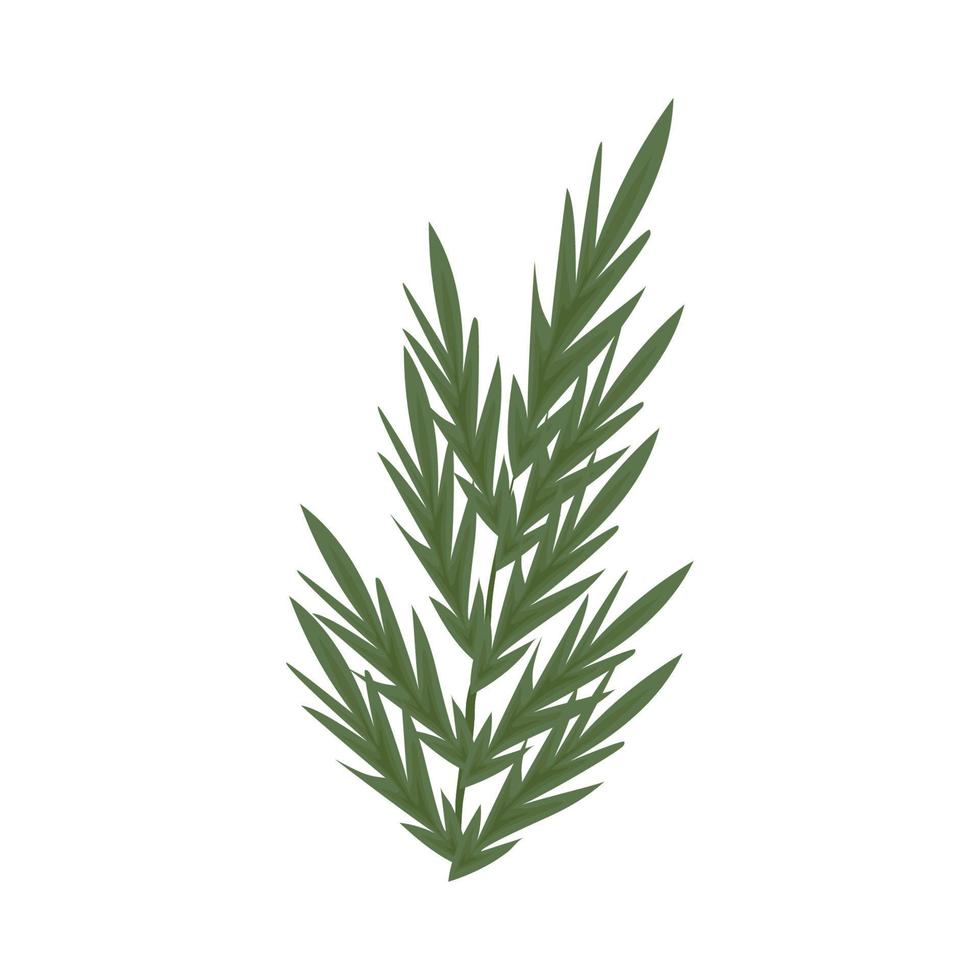 branch nature and botanical vector
