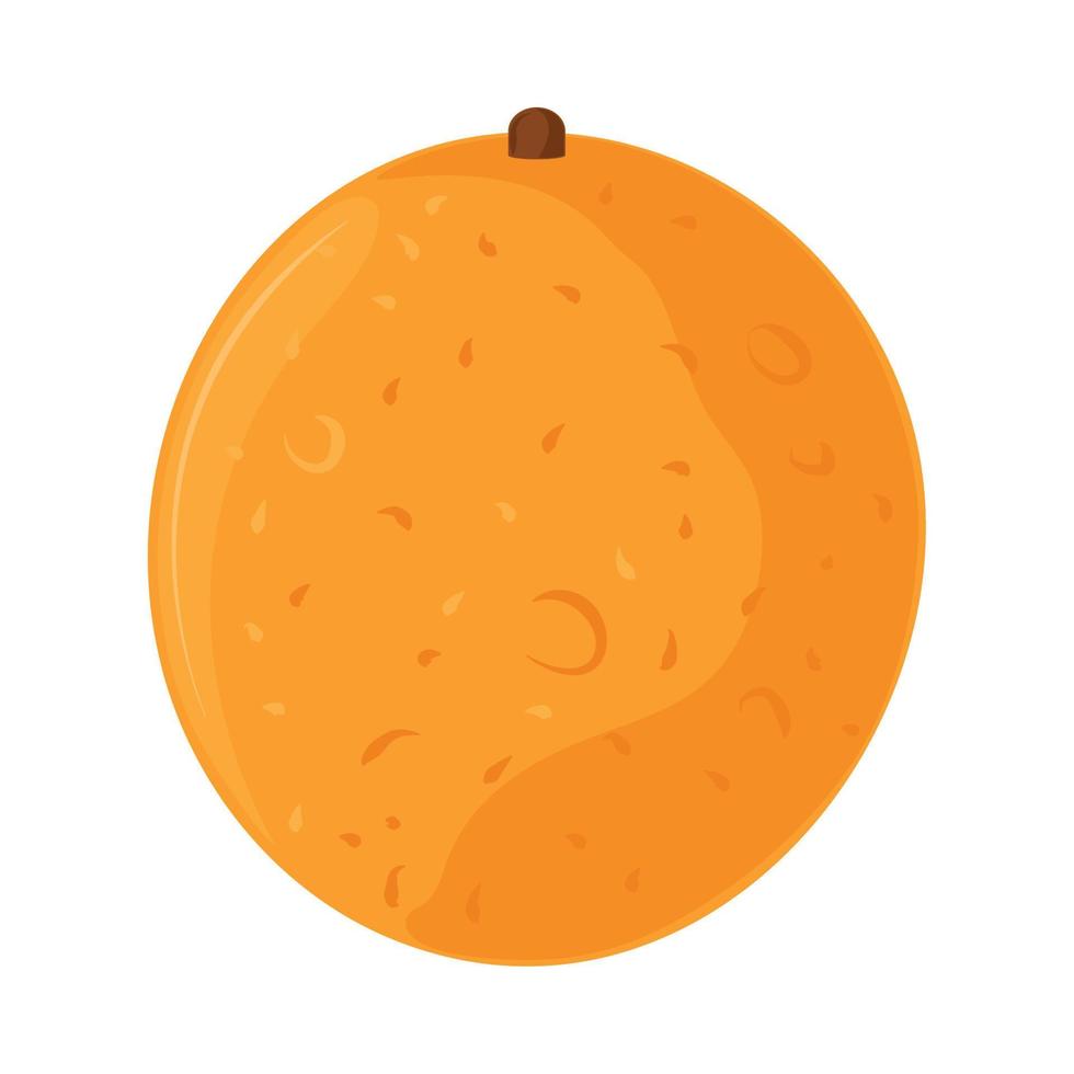 tropical passion fruit vector