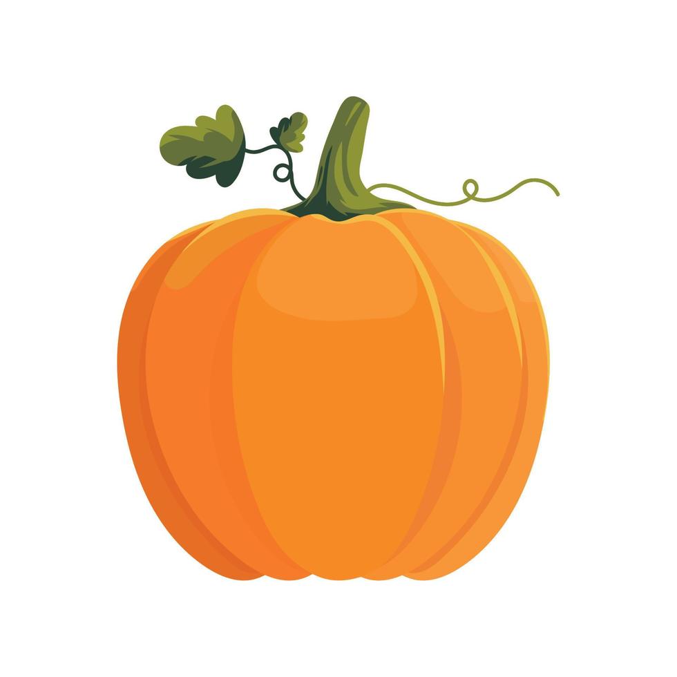 icono de vegetales de calabaza vector