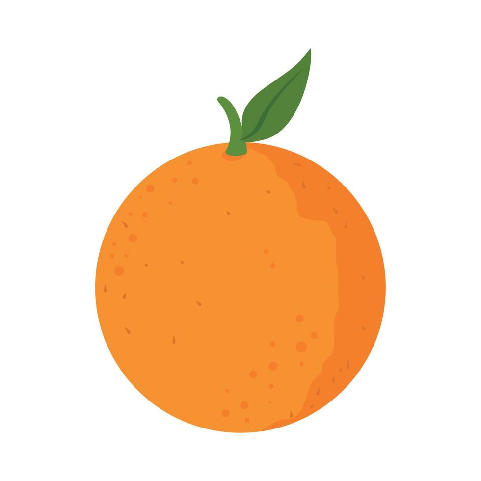 orange citrus fruit vector