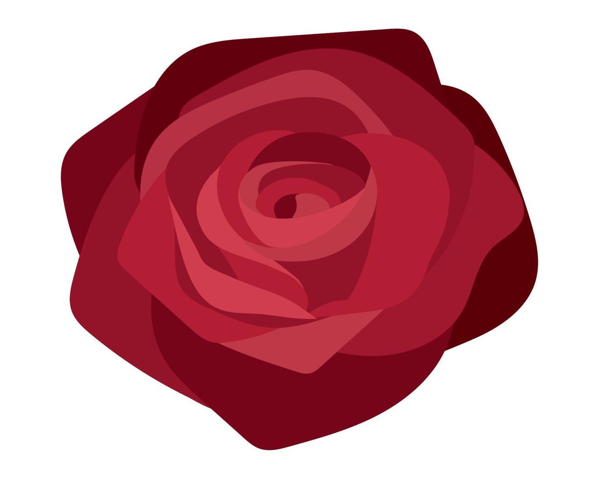 flower rose nature vector