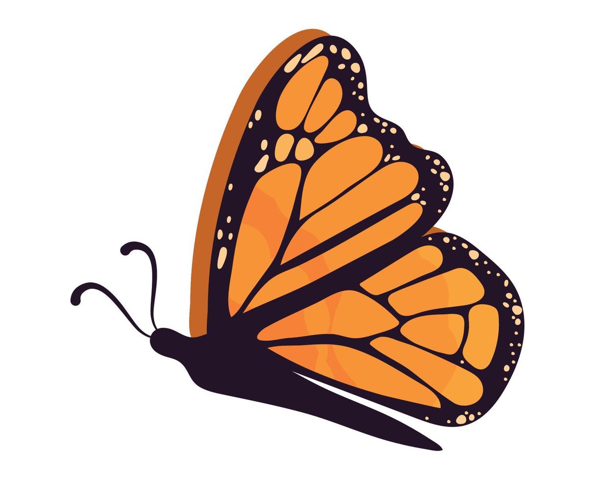 flying monarch butterfly vector