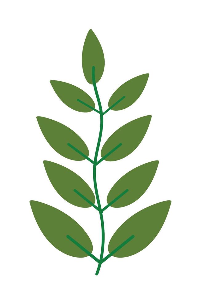 leaf plant icon vector