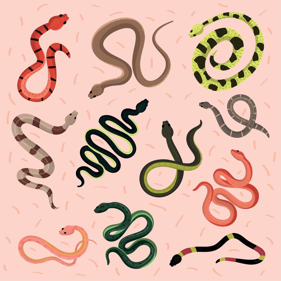icons set of snakes vector