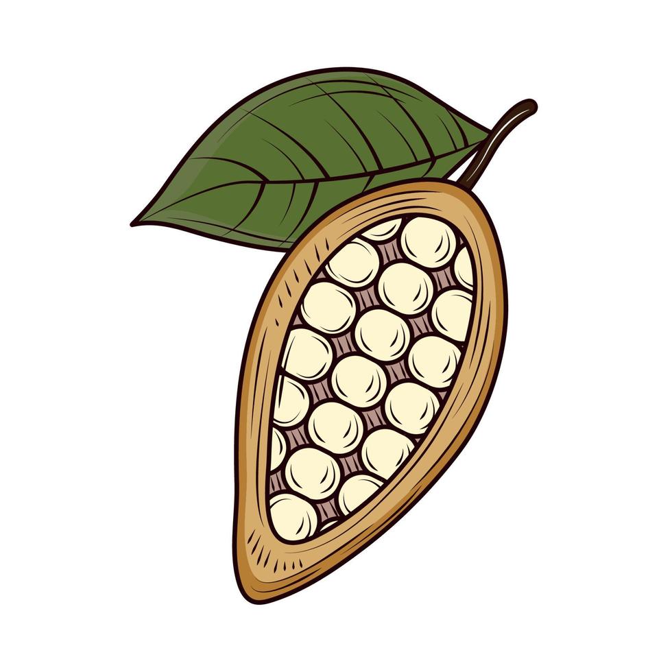 icono de granos de cacao vector