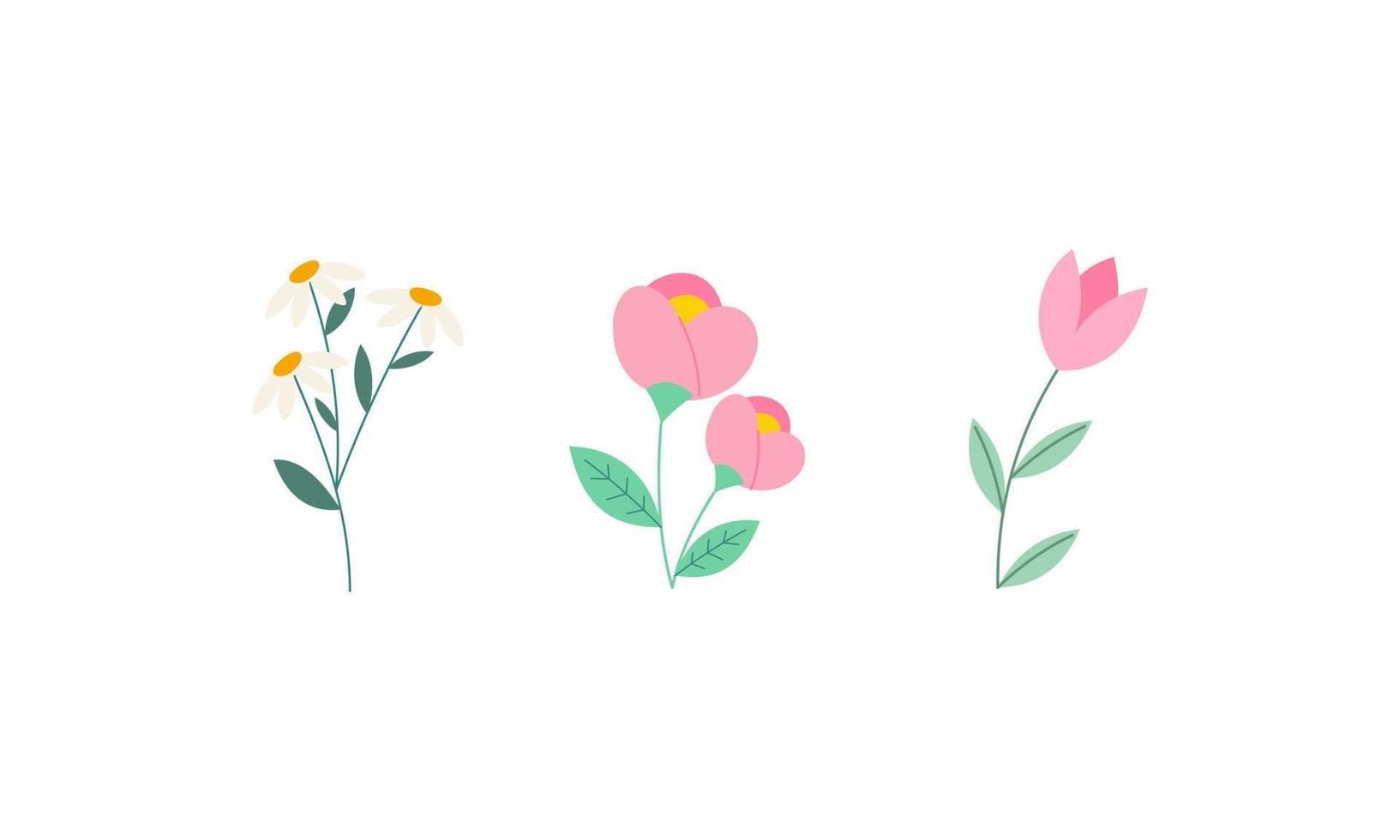 Set of Spring Flowers Collection vector