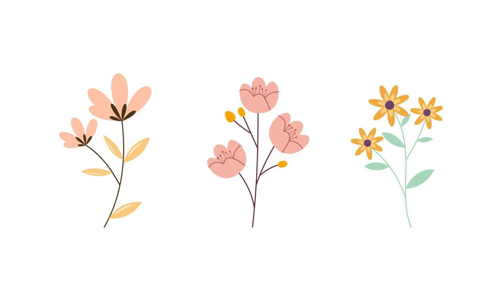 Set of Spring Flowers Collection vector