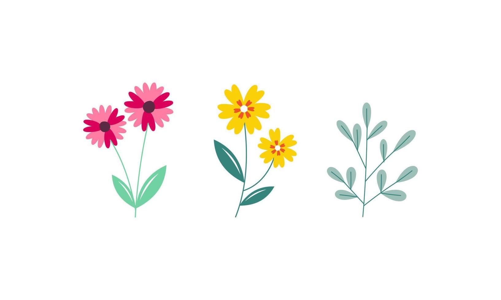 Set of Spring Flowers Collection vector