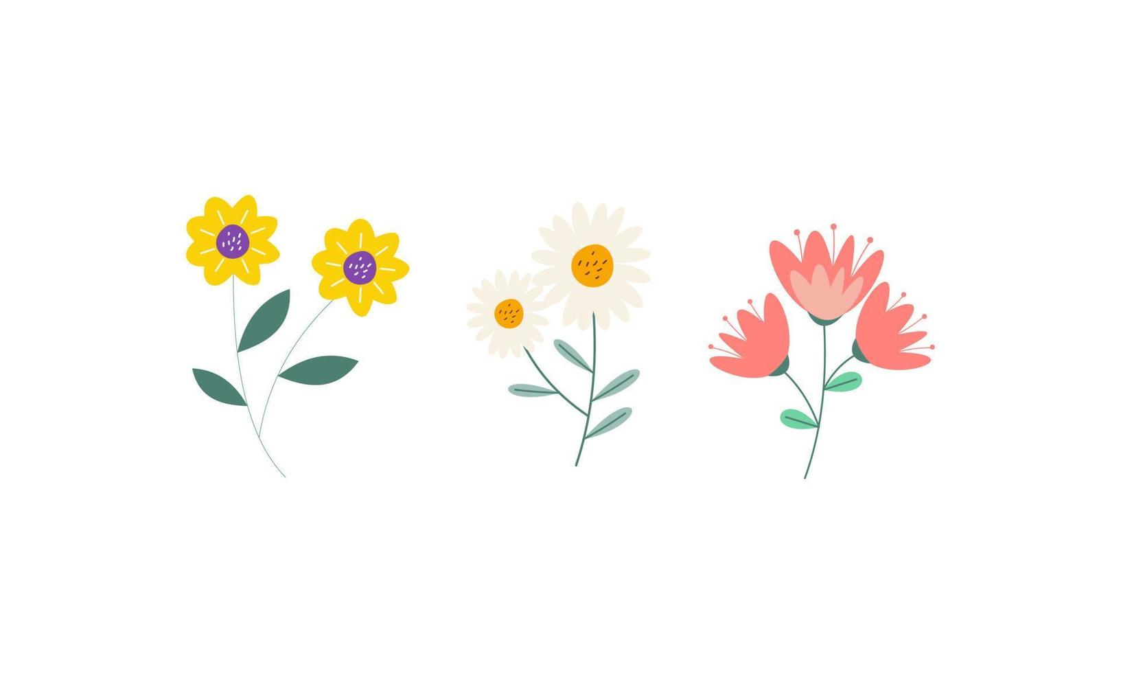 Set of Spring Flowers Collection vector