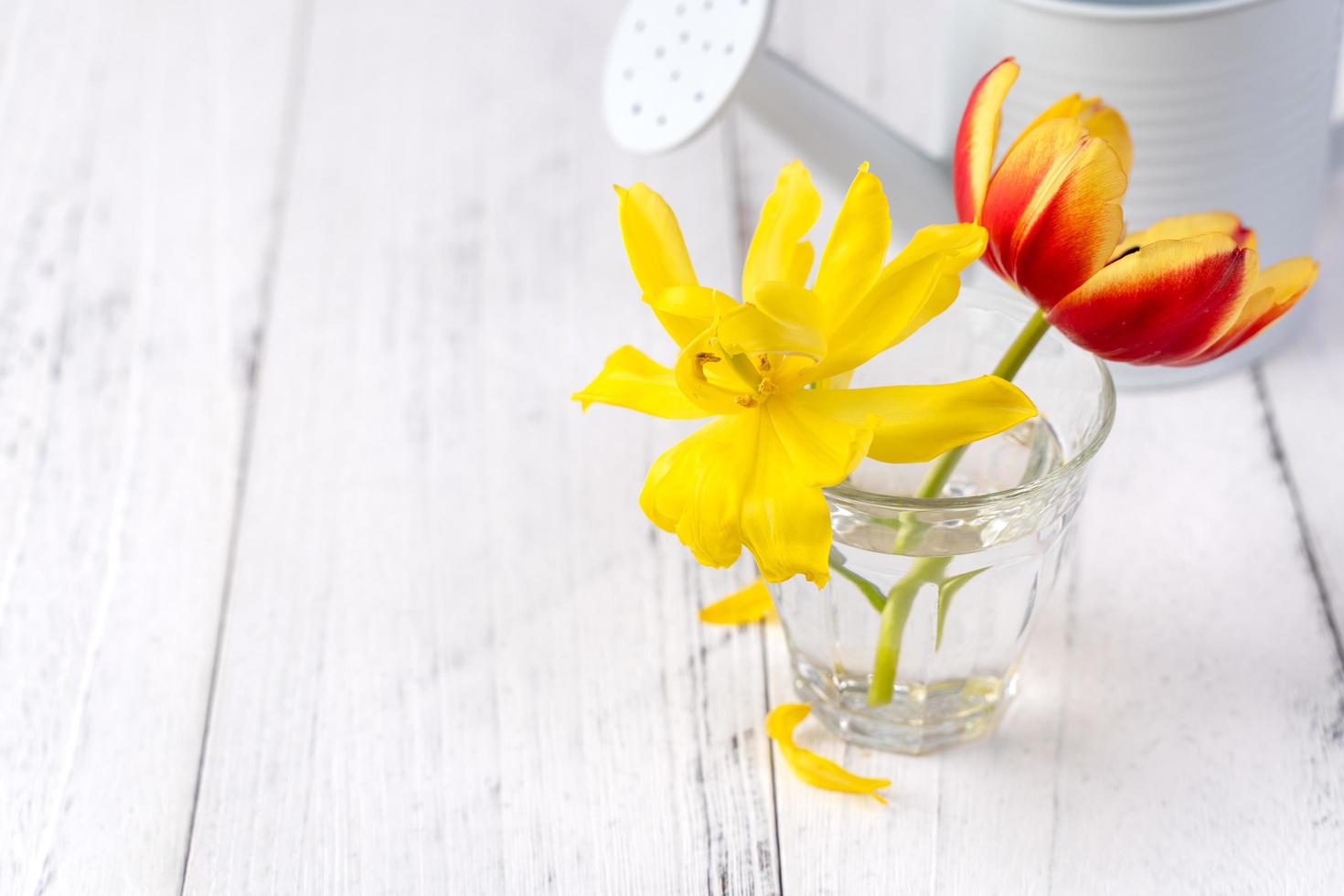 Tulip flower arrangement in glass vase with heart greeting, watering can decor on wooden table background wall, close up, Mother's Day design concept. photo