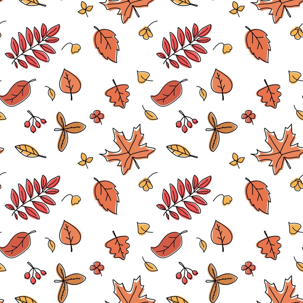hojas de otoño patrón aislado ilustración vectorial. caída de fondo transparente. telón de fondo sin fin de follaje. vector