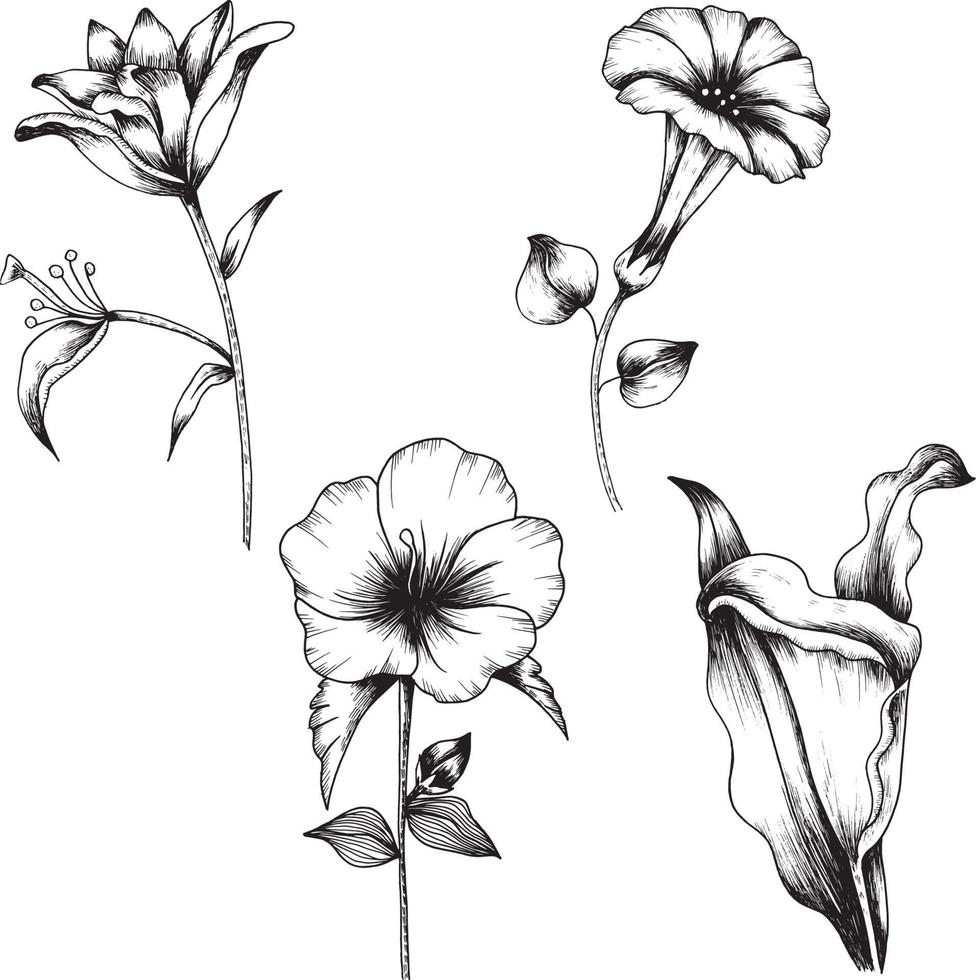 Botanical line art vector