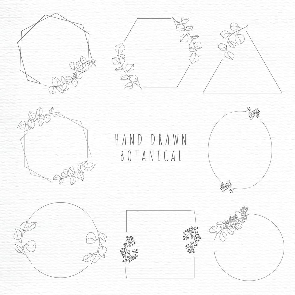 Botanical line art vector