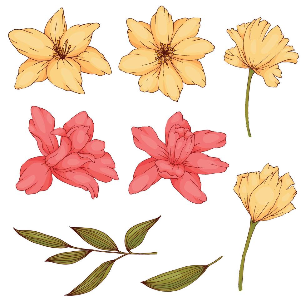 Sketch flower line art vector