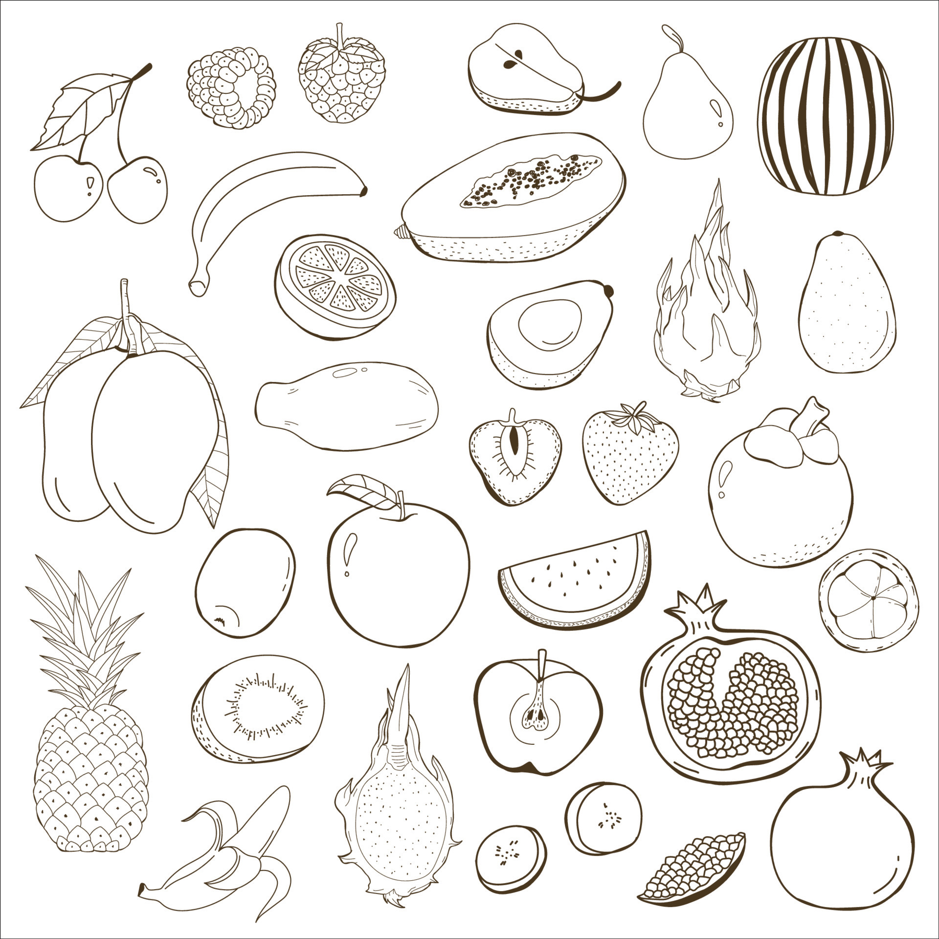 fruit line art 10802742 Vector Art at Vecteezy