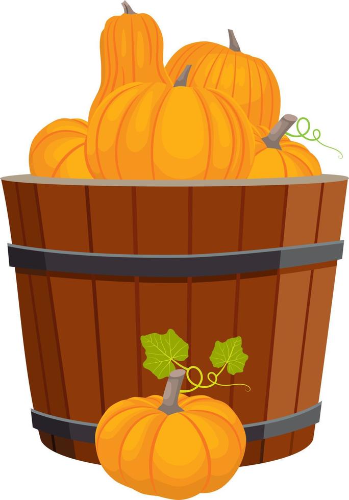 Pumpkins in wood basket vector
