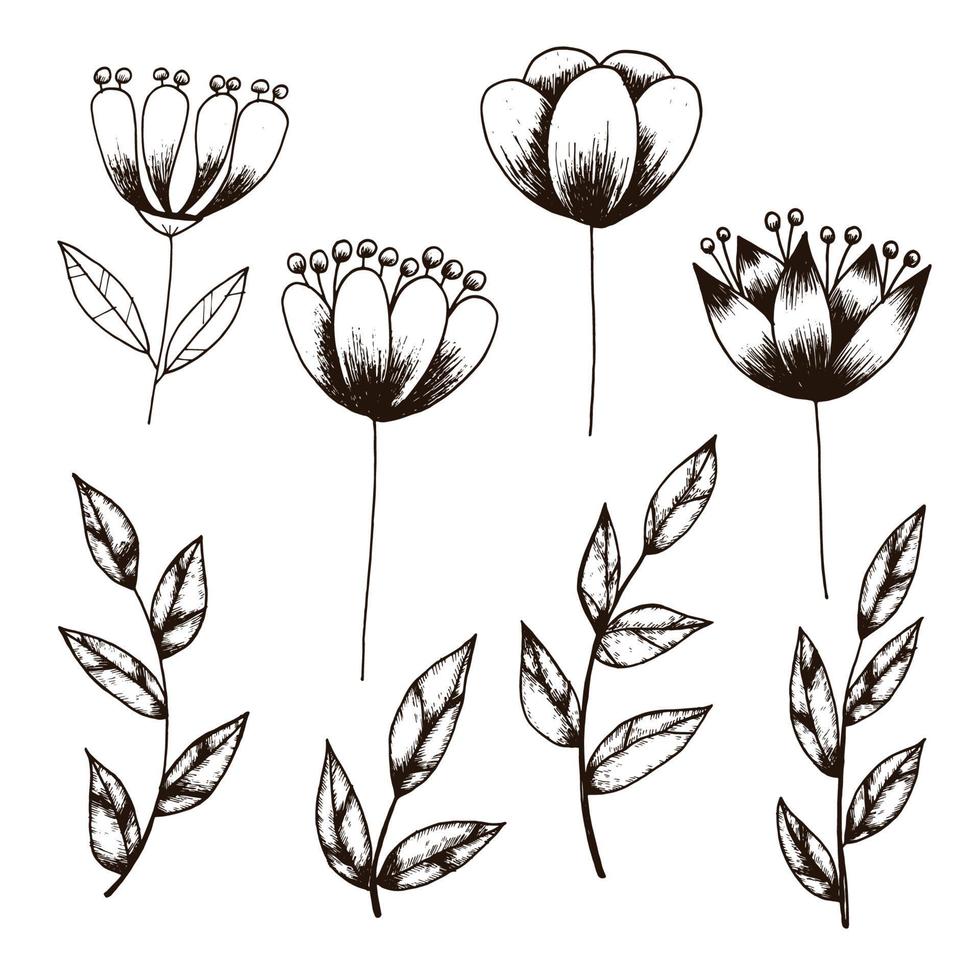 Botanical line art vector