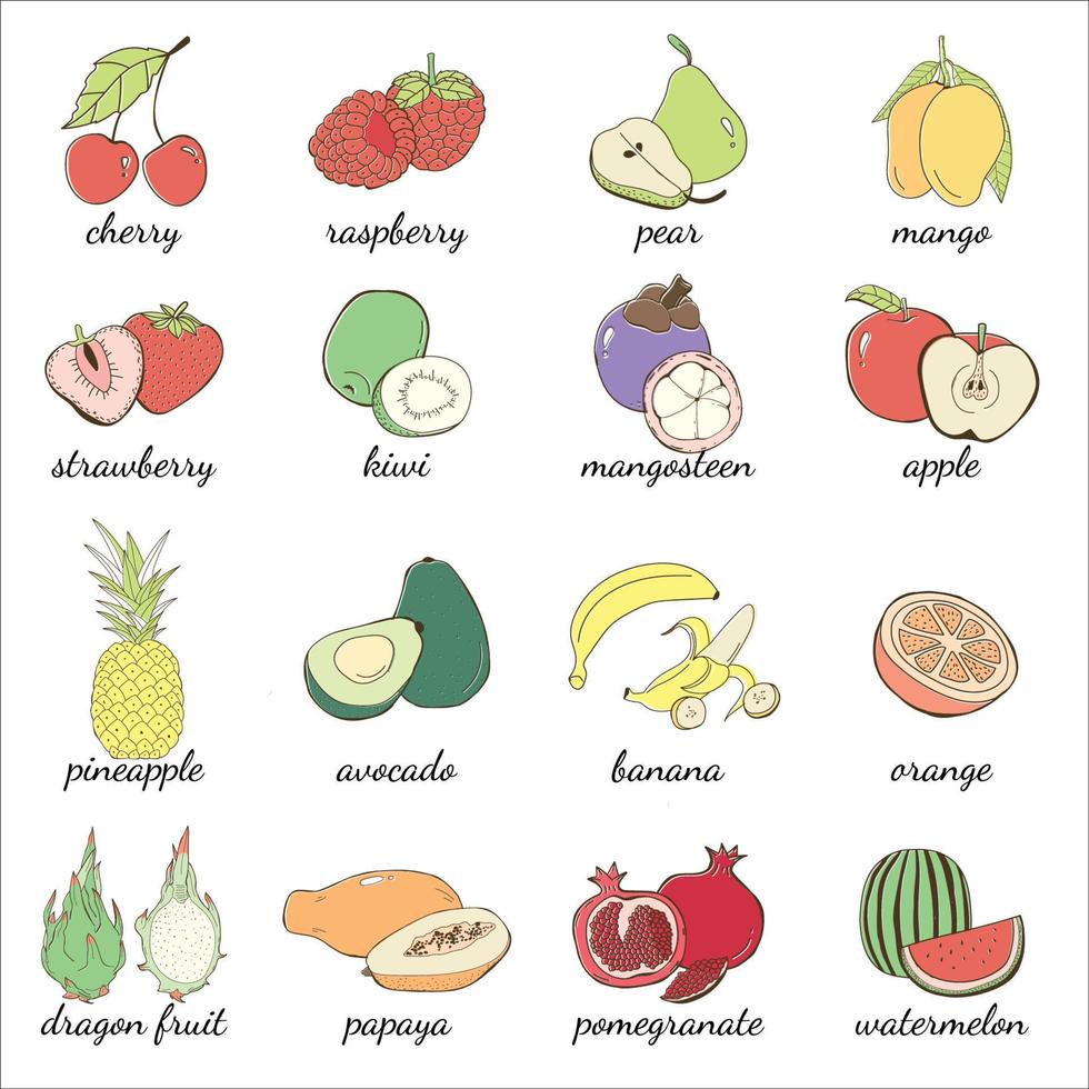 fruit collection cartoon vector